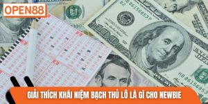 Giải thích khái niệm bạch thủ lô là gì cho newbie