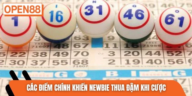 Các điểm chính khiến newbie thua đậm khi cược